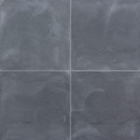 Antra Fossiel premium